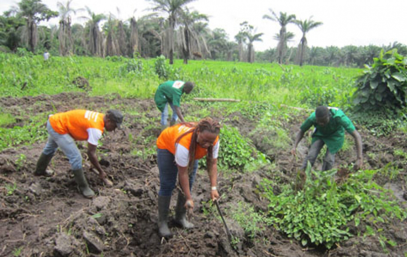 Formation agricole